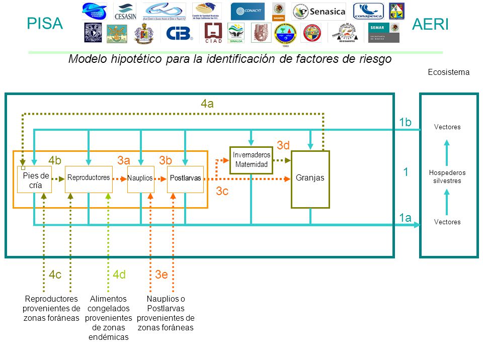 PISA AERI. Modelo hipotético para la identificación de factores de riesgo. Ecosistema. 4a. 1b. Vectores.