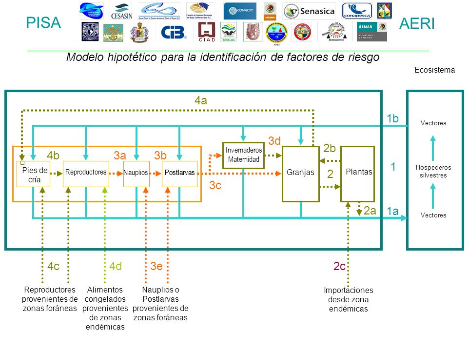 PISA AERI. Modelo hipotético para la identificación de factores de riesgo. Ecosistema. 4a. 1b. Vectores.