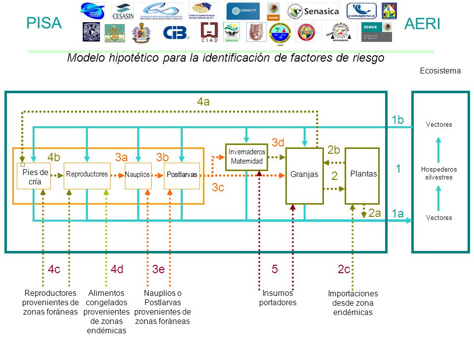 PISA AERI. Modelo hipotético para la identificación de factores de riesgo. Ecosistema. 4a. 1b. Vectores.