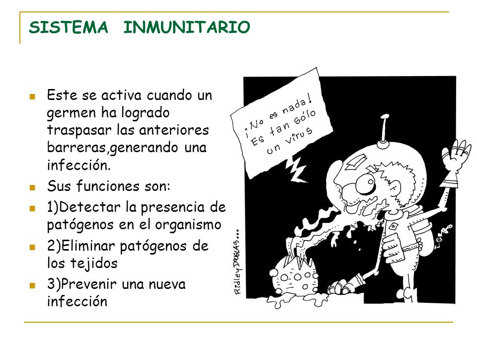 SISTEMA INMUNITARIO Este se activa cuando un germen ha logrado traspasar las anteriores barreras,generando una infección.