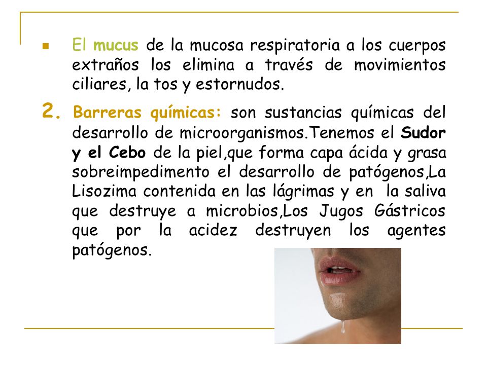 El mucus de la mucosa respiratoria a los cuerpos extraños los elimina a través de movimientos ciliares, la tos y estornudos.