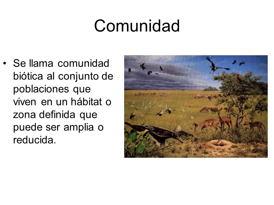 Comunidad Se llama comunidad biótica al conjunto de poblaciones que viven en un hábitat o zona definida que puede ser amplia o reducida.