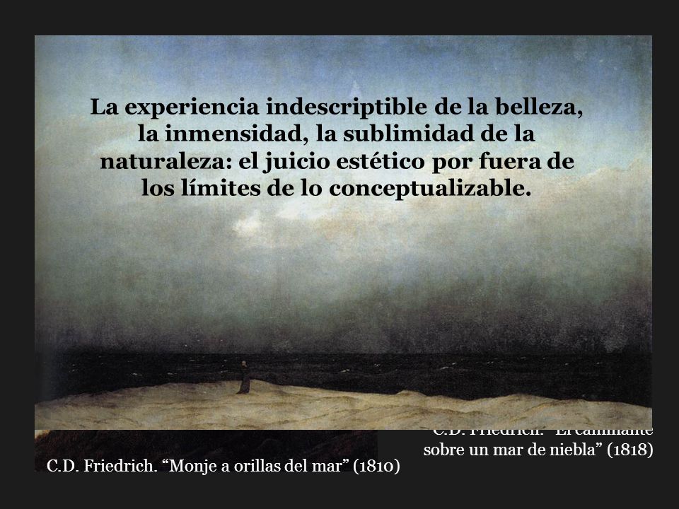 La experiencia indescriptible de la belleza, la inmensidad, la sublimidad de la naturaleza: el juicio estético por fuera de los límites de lo conceptualizable.
