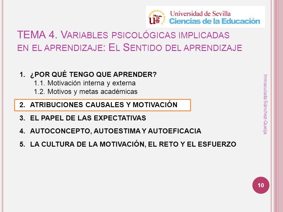 TEMA 4. Variables psicológicas implicadas en el aprendizaje: El Sentido del aprendizaje