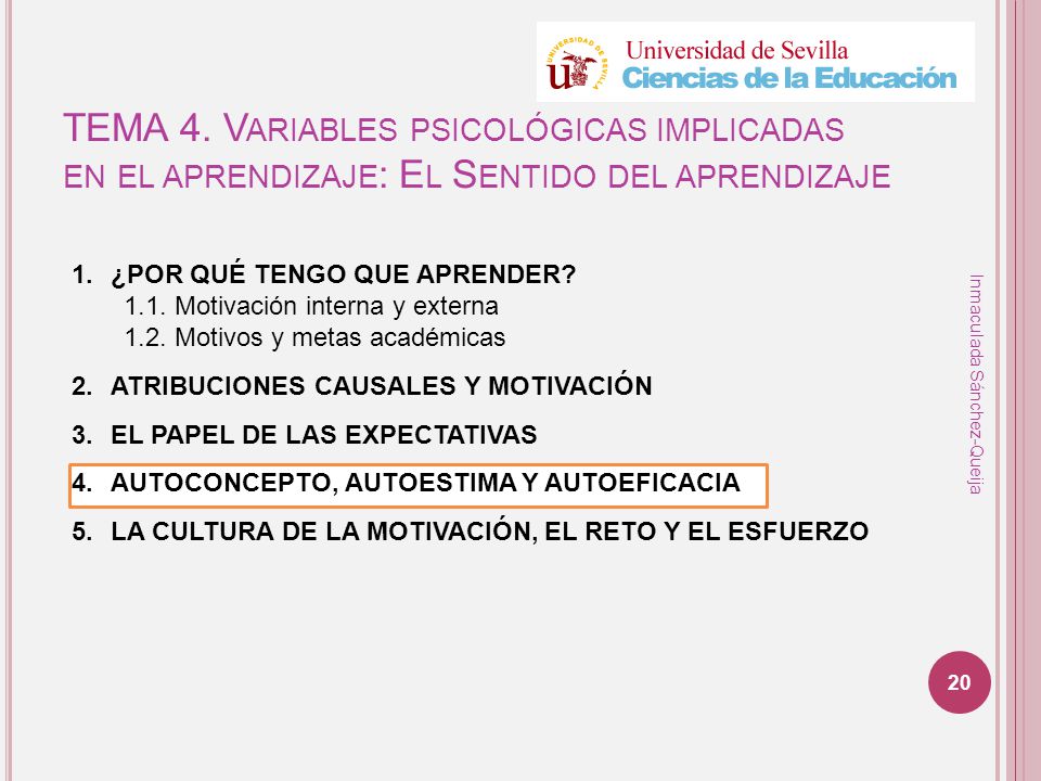 TEMA 4. Variables psicológicas implicadas en el aprendizaje: El Sentido del aprendizaje