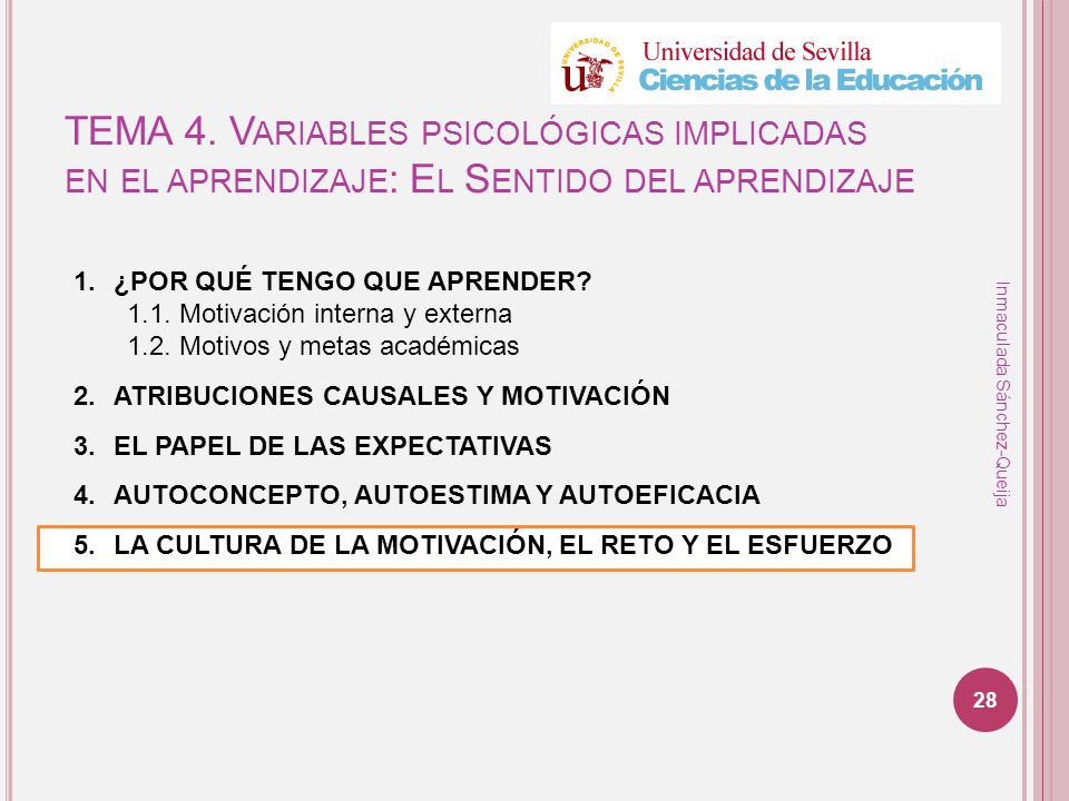 TEMA 4. Variables psicológicas implicadas en el aprendizaje: El Sentido del aprendizaje