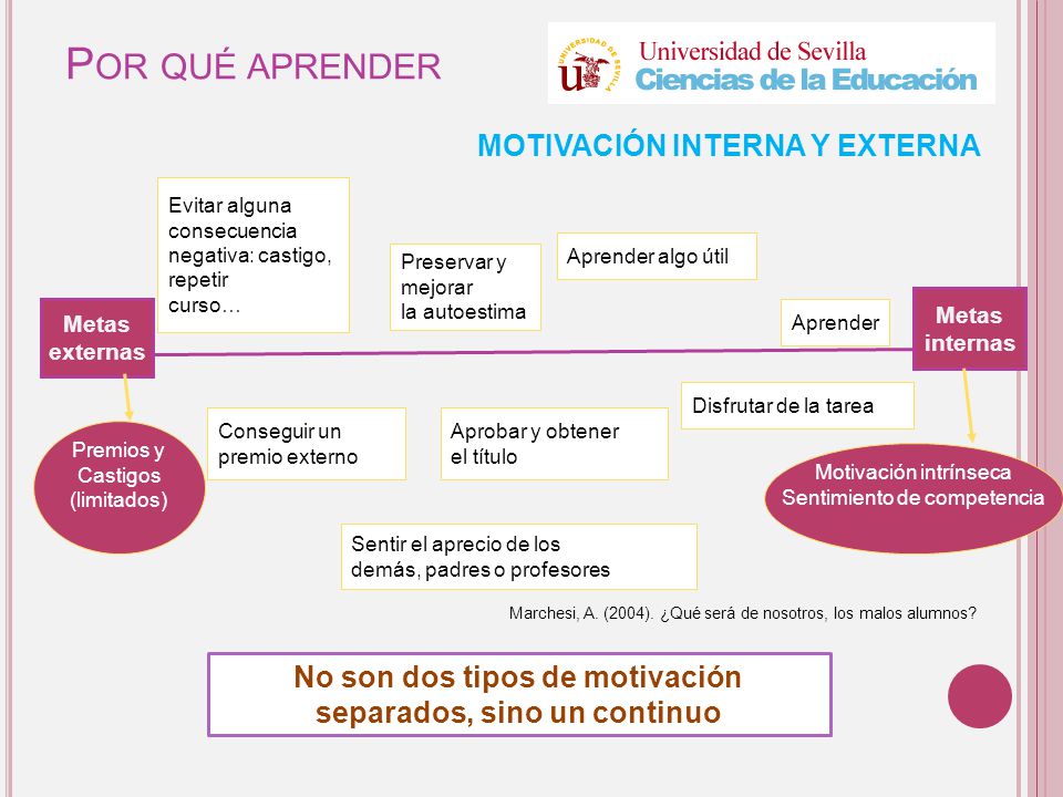 No son dos tipos de motivación separados, sino un continuo