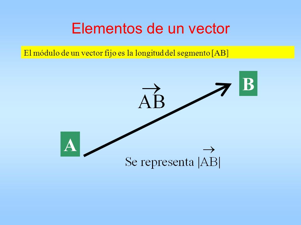 B A Elementos de un vector
