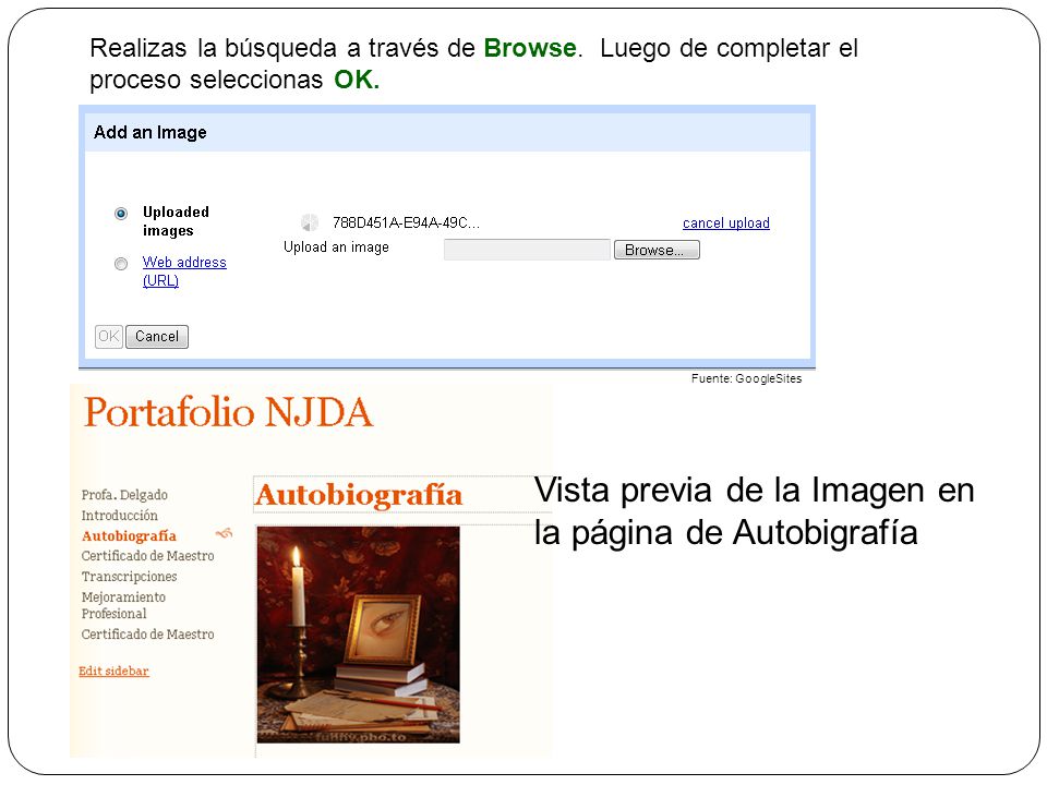 Vista previa de la Imagen en la página de Autobigrafía