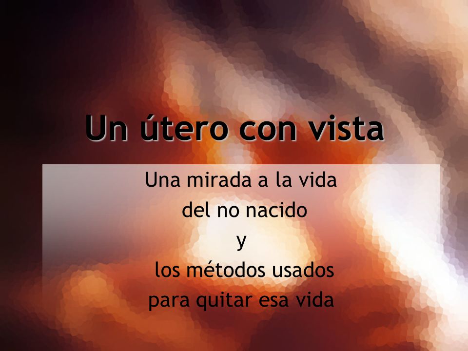 Un útero con vista Una mirada a la vida del no nacido y