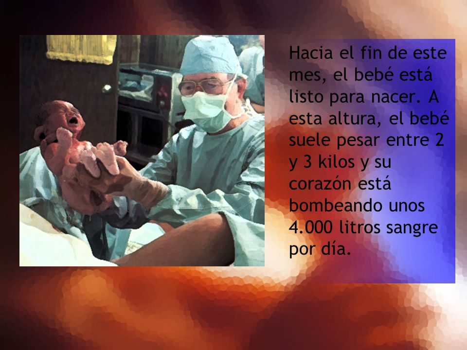 Hacia el fin de este mes, el bebé está listo para nacer