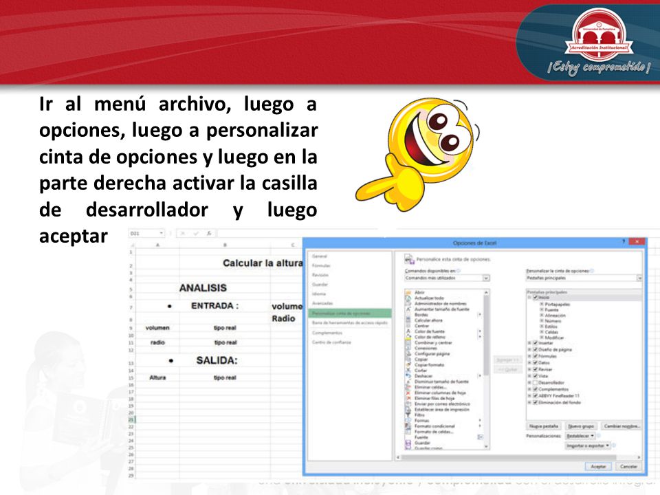 Ir al menú archivo, luego a opciones, luego a personalizar cinta de opciones y luego en la parte derecha activar la casilla de desarrollador y luego aceptar