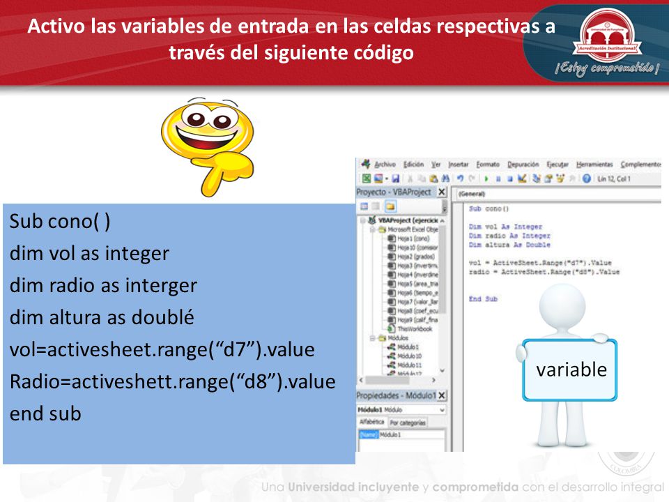 Activo las variables de entrada en las celdas respectivas a través del siguiente código