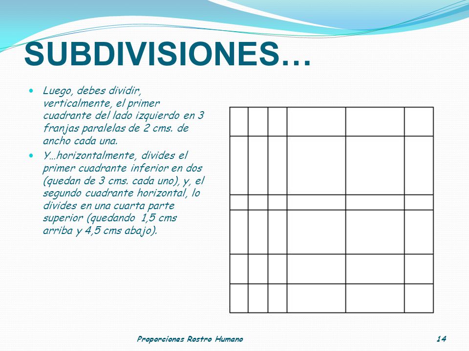 SUBDIVISIONES… Luego, debes dividir, verticalmente, el primer cuadrante del lado izquierdo en 3 franjas paralelas de 2 cms. de ancho cada una.