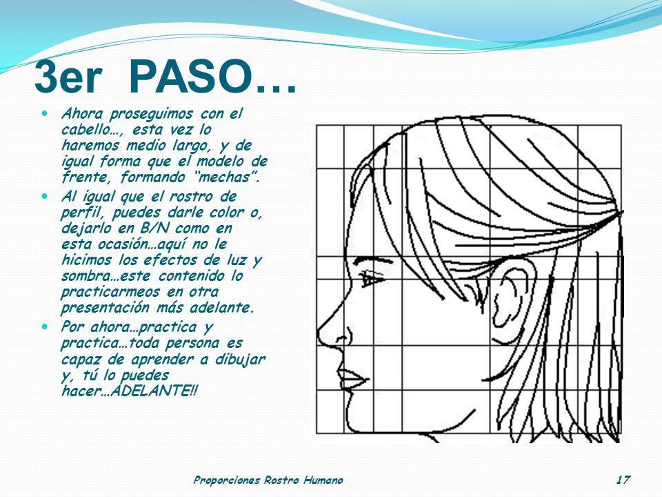 3er PASO… Ahora proseguimos con el cabello…, esta vez lo haremos medio largo, y de igual forma que el modelo de frente, formando mechas .