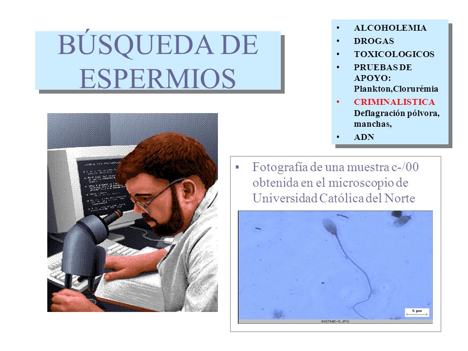 ALCOHOLEMIA DROGAS. TOXICOLOGICOS. PRUEBAS DE APOYO: Plankton,Clorurémia. CRIMINALISTICA Deflagración pólvora, manchas,