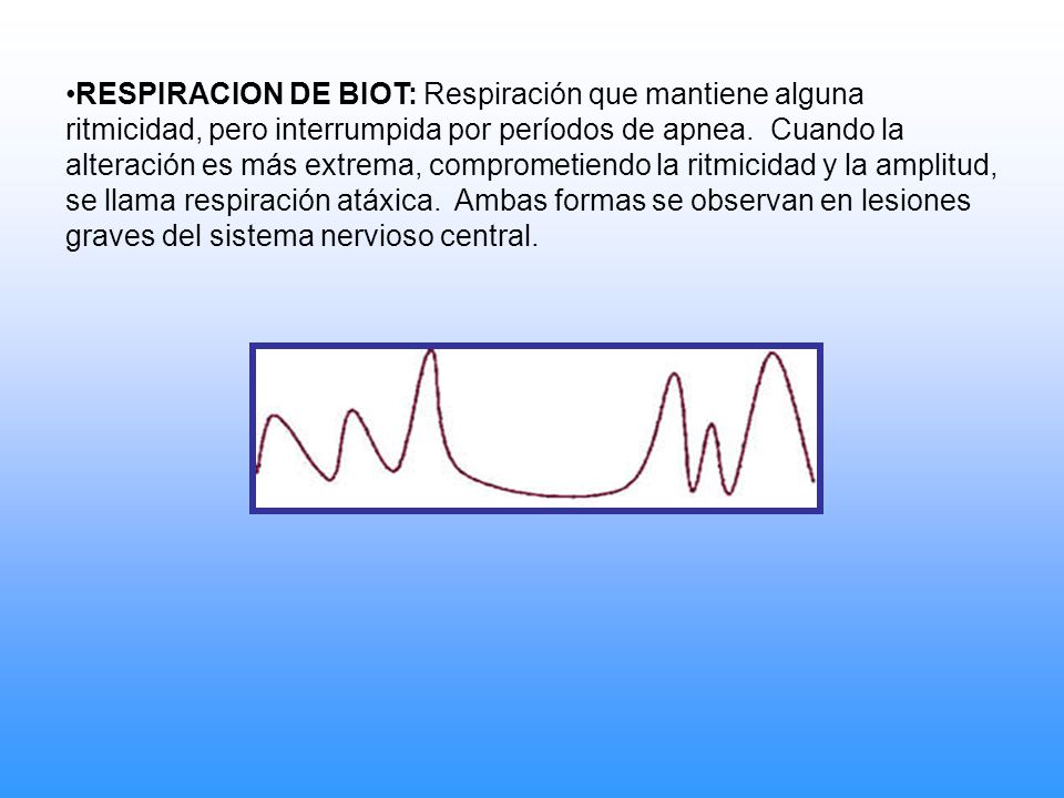 RESPIRACION DE BIOT: Respiración que mantiene alguna ritmicidad, pero interrumpida por períodos de apnea.
