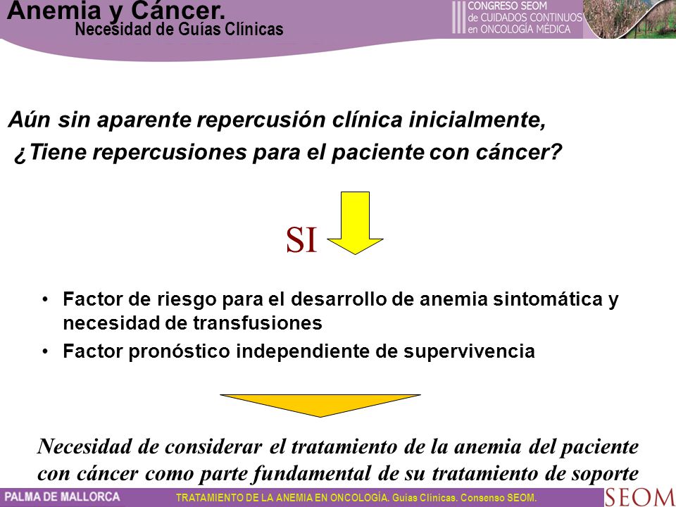 SI Anemia y Cáncer. Aún sin aparente repercusión clínica inicialmente,