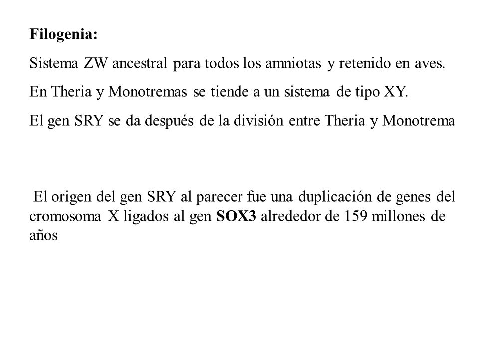 Filogenia: Sistema ZW ancestral para todos los amniotas y retenido en aves. En Theria y Monotremas se tiende a un sistema de tipo XY.