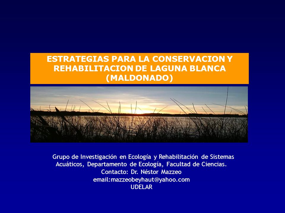 ESTRATEGIAS PARA LA CONSERVACION Y REHABILITACION DE LAGUNA BLANCA (MALDONADO)