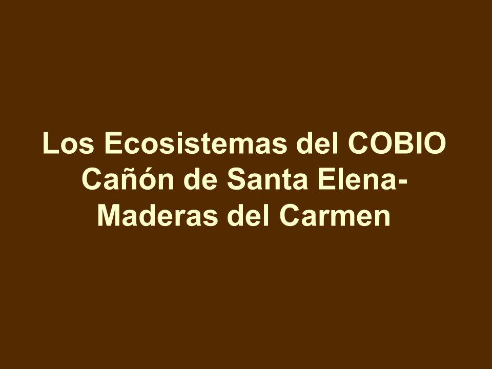 Los Ecosistemas del COBIO Cañón de Santa Elena-Maderas del Carmen
