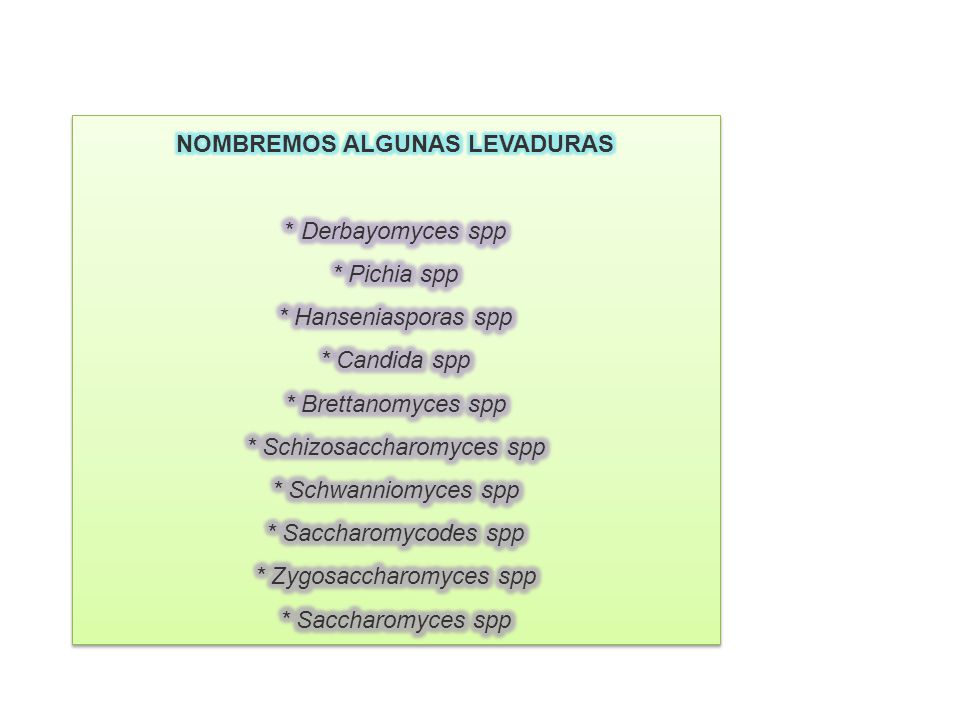 NOMBREMOS ALGUNAS LEVADURAS