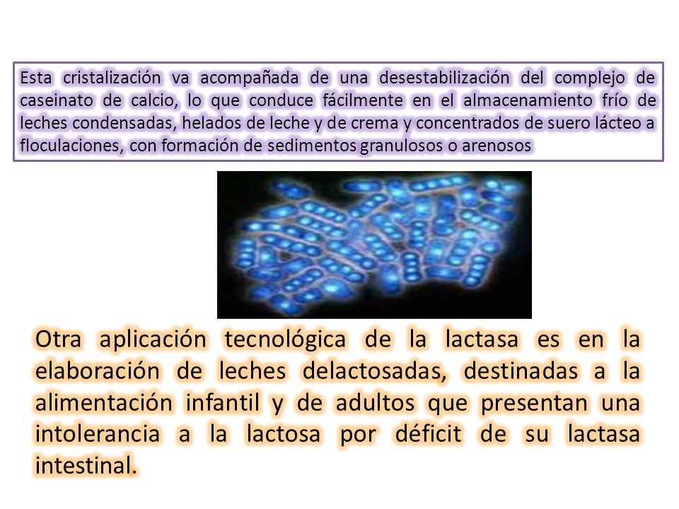 Esta cristalización va acompañada de una desestabilización del complejo de caseinato de calcio, lo que conduce fácilmente en el almacenamiento frío de leches condensadas, helados de leche y de crema y concentrados de suero lácteo a floculaciones, con formación de sedimentos granulosos o arenosos