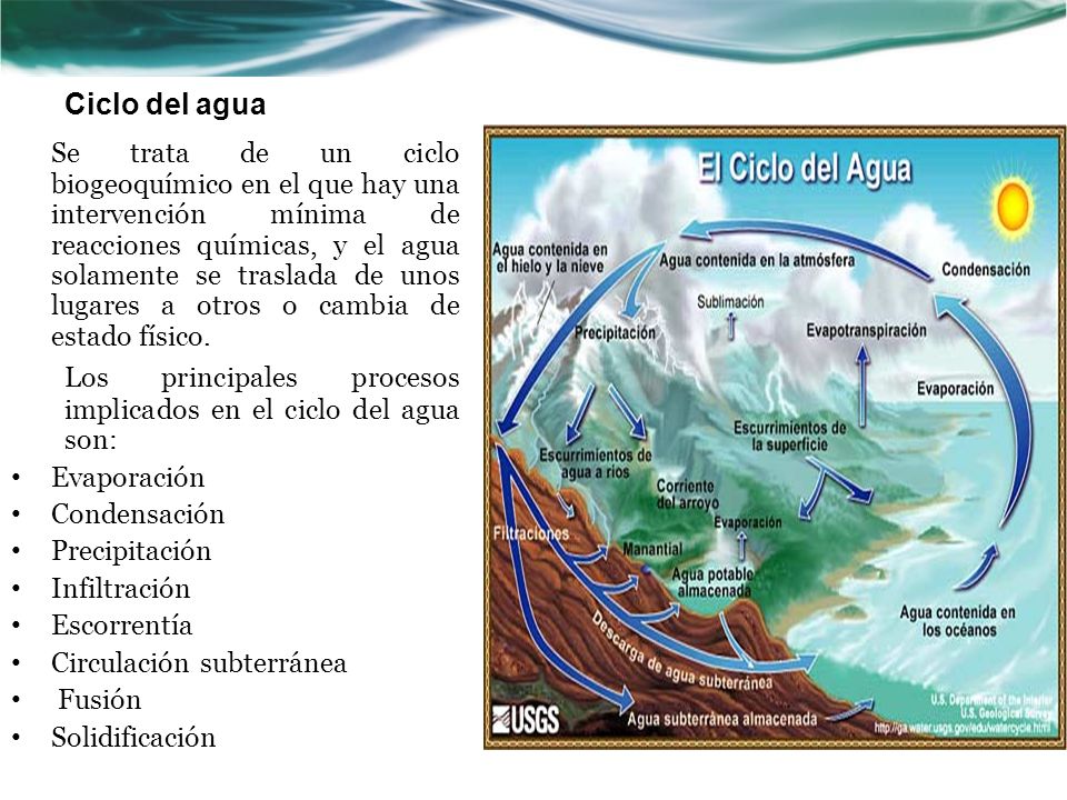 Los principales procesos implicados en el ciclo del agua son: