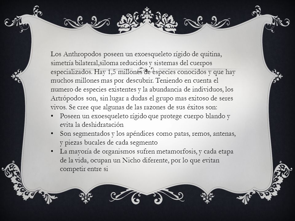 Los Anthropodos poseen un exoesqueleto rígido de quitina, simetría bilateral,siloma reducidos y sistemas del cuerpos especializados. Hay 1,5 millones de especies conocidos y que hay muchos millones mas por descubrir. Teniendo en cuenta el numero de especies existentes y la abundancia de individuos, los Artrópodos son, sin lugar a dudas el grupo mas exitoso de seres vivos. Se cree que algunas de las razones de sus éxitos son: