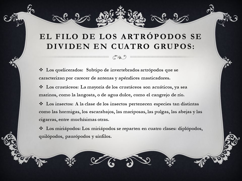 El filo de los artrópodos se dividen en cuatro grupos: