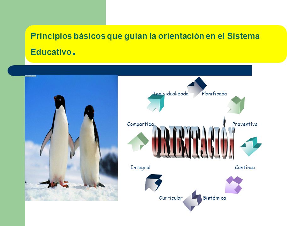 Principios básicos que guían la orientación en el Sistema Educativo.
