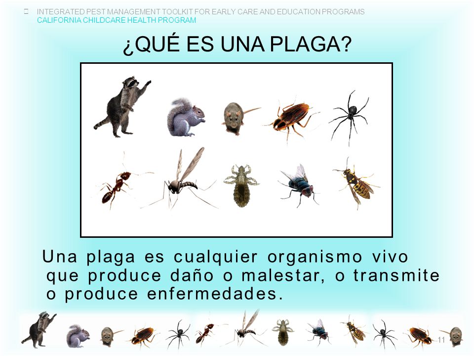 ¿QuÉ es una plaga Una plaga es cualquier organismo vivo que produce daño o malestar, o transmite o produce enfermedades.
