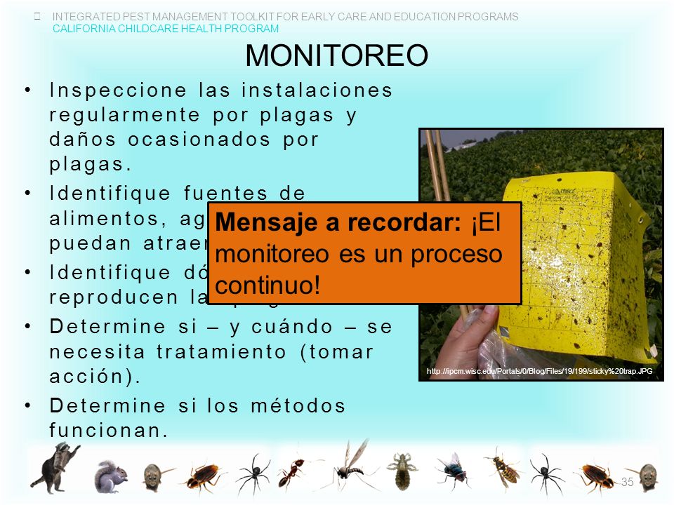 MONITOREO Mensaje a recordar: ¡El monitoreo es un proceso continuo!