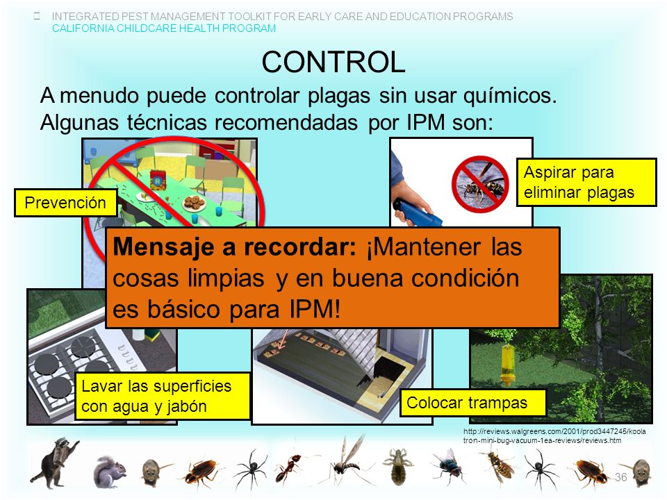 control A menudo puede controlar plagas sin usar químicos. Algunas técnicas recomendadas por IPM son: