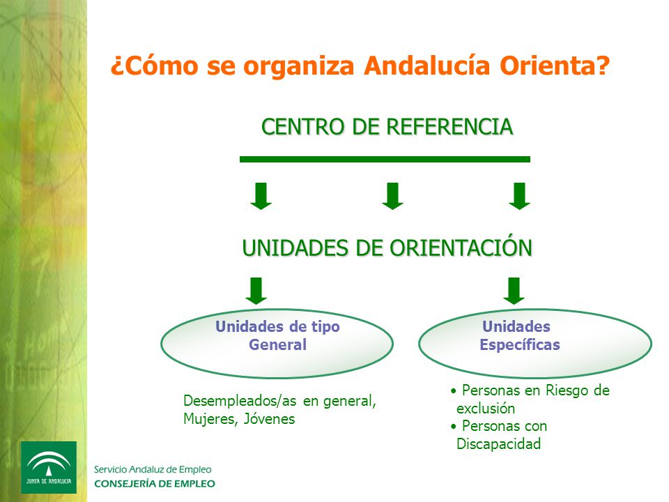 ¿Cómo se organiza Andalucía Orienta Unidades de tipo General