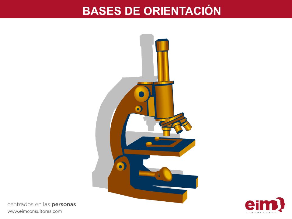 BASES DE ORIENTACIÓN Ejemplo 1: microscopio. Uso de imágenes muy útil para infantil.