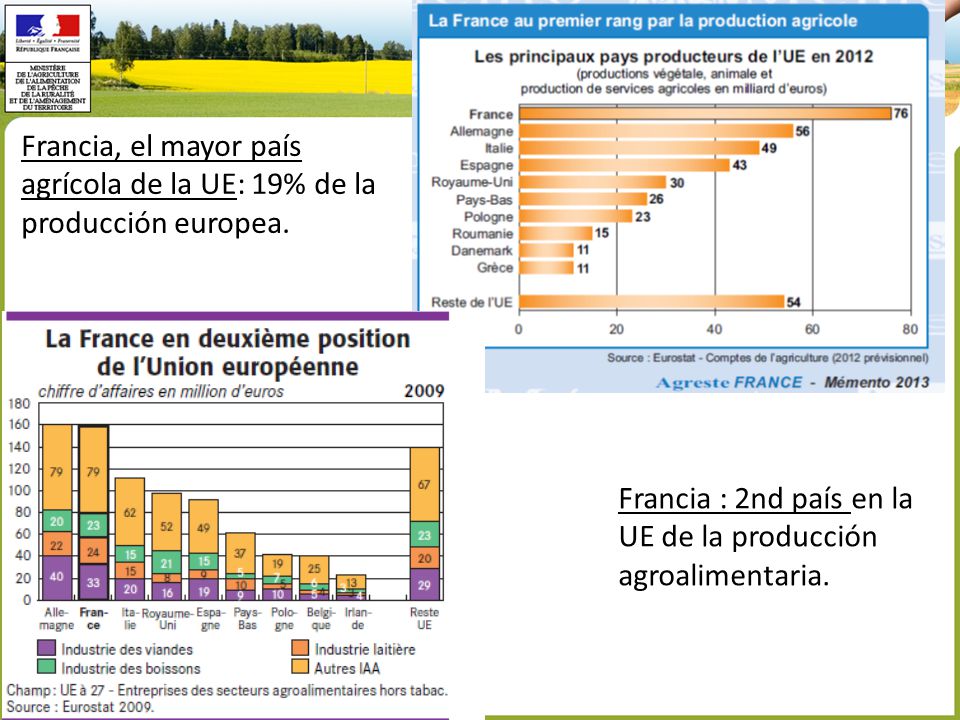 Francia, el mayor país agrícola de la UE: 19% de la producción europea.
