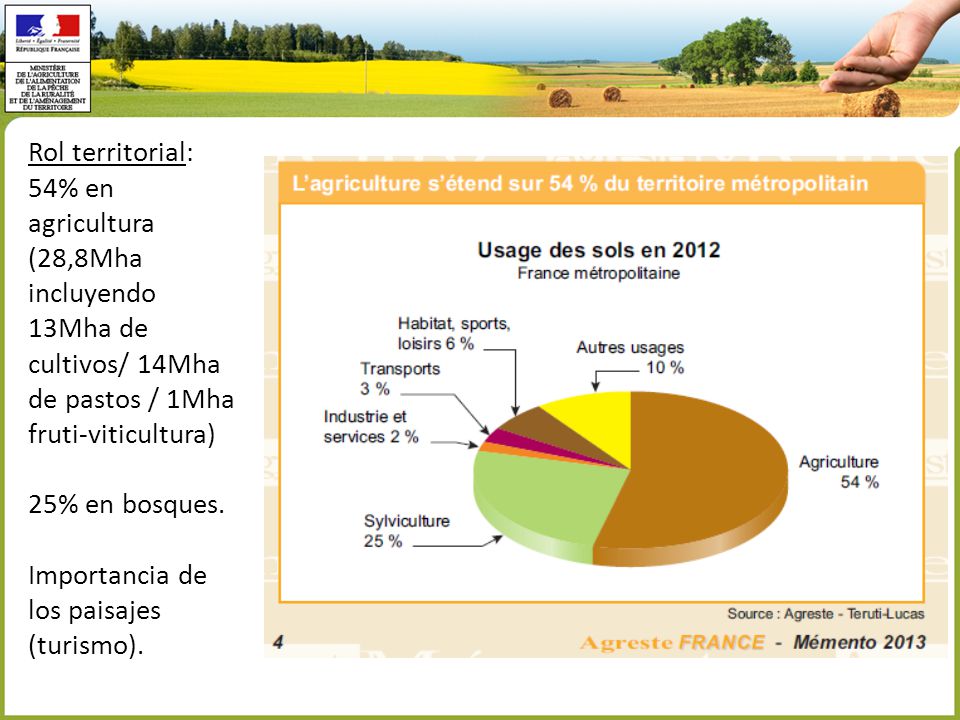 Rol territorial: 54% en agricultura (28,8Mha incluyendo 13Mha de cultivos/ 14Mha de pastos / 1Mha fruti-viticultura)