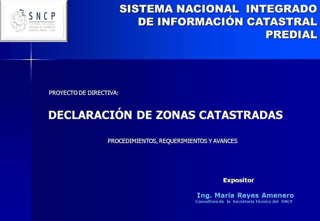 Ing. María Reyes Amenero Consultora de la Secretaría Técnica del SNCP