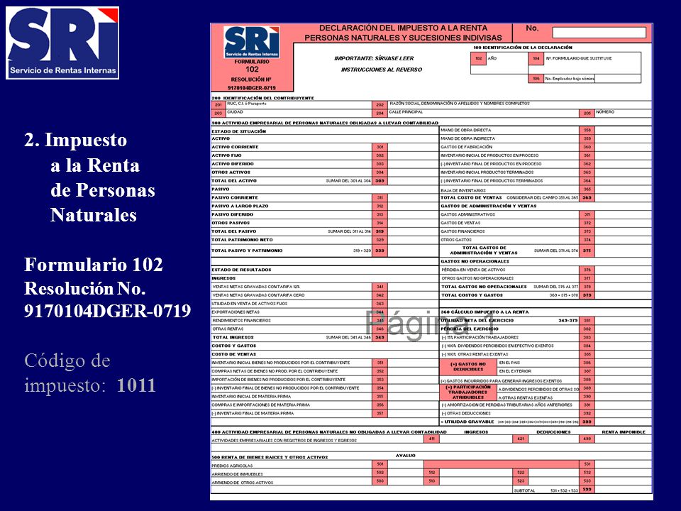 2. Impuesto a la Renta de Personas Naturales Formulario 102