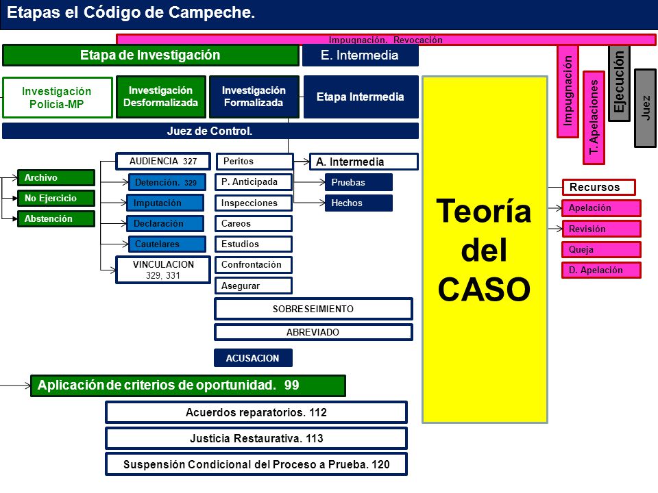 Teoría del CASO Etapas el Código de Campeche. Etapa de Investigación