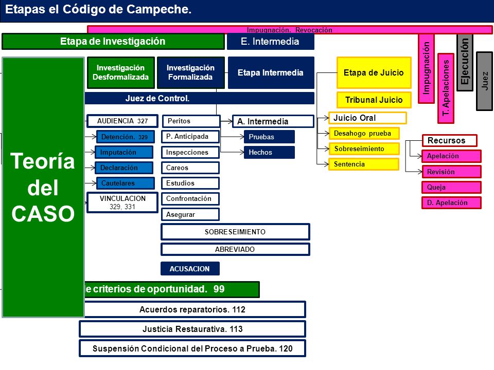 Teoría del CASO Etapas el Código de Campeche. Etapa de Investigación