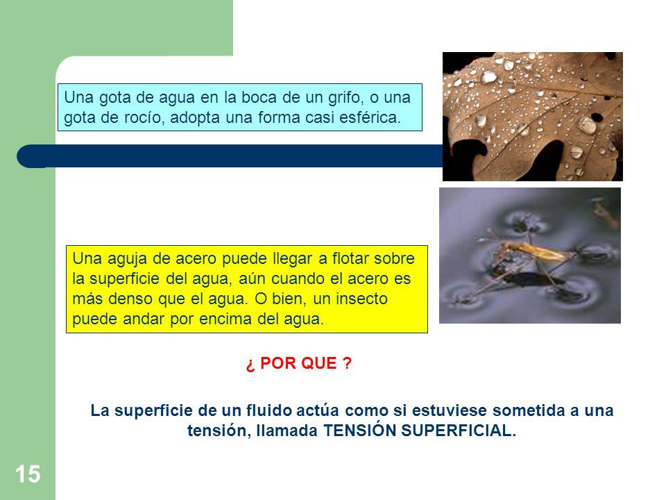Una gota de agua en la boca de un grifo, o una gota de rocío, adopta una forma casi esférica.