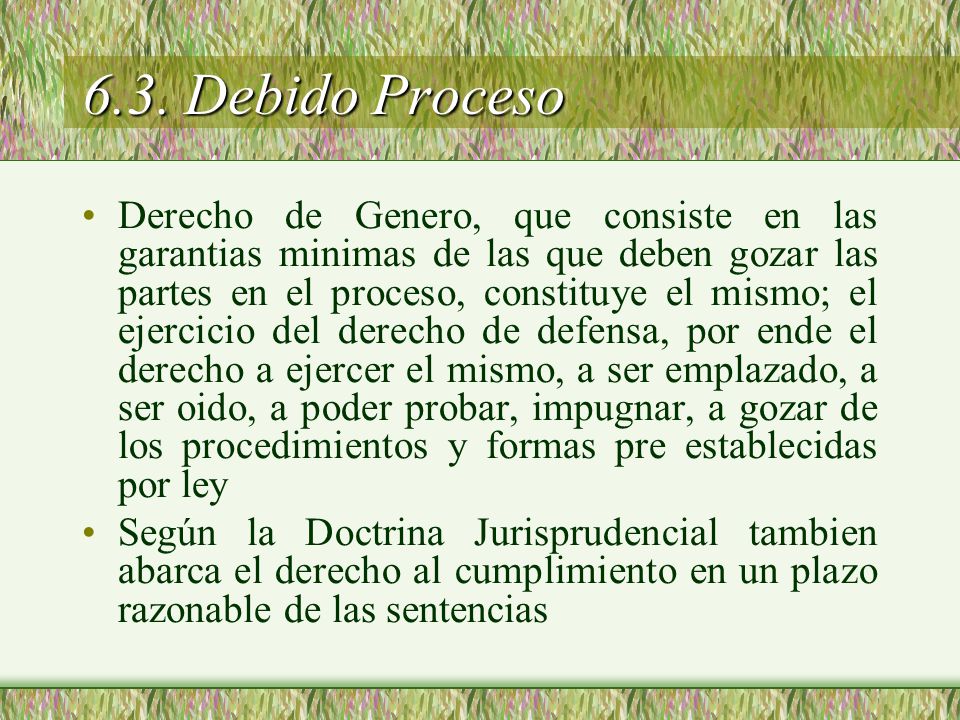 6.3. Debido Proceso
