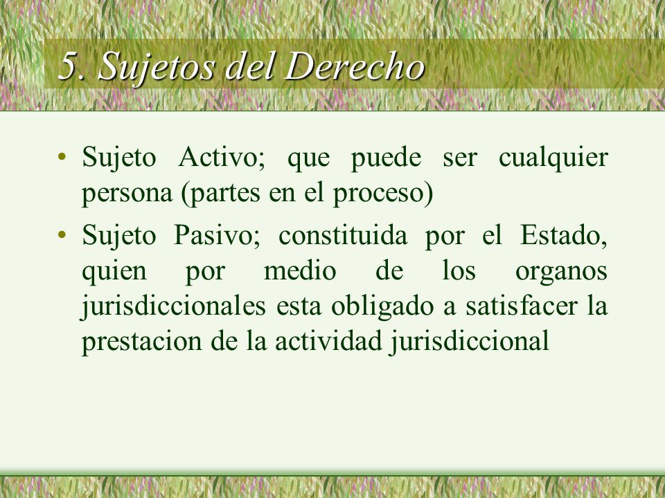 5. Sujetos del Derecho Sujeto Activo; que puede ser cualquier persona (partes en el proceso)