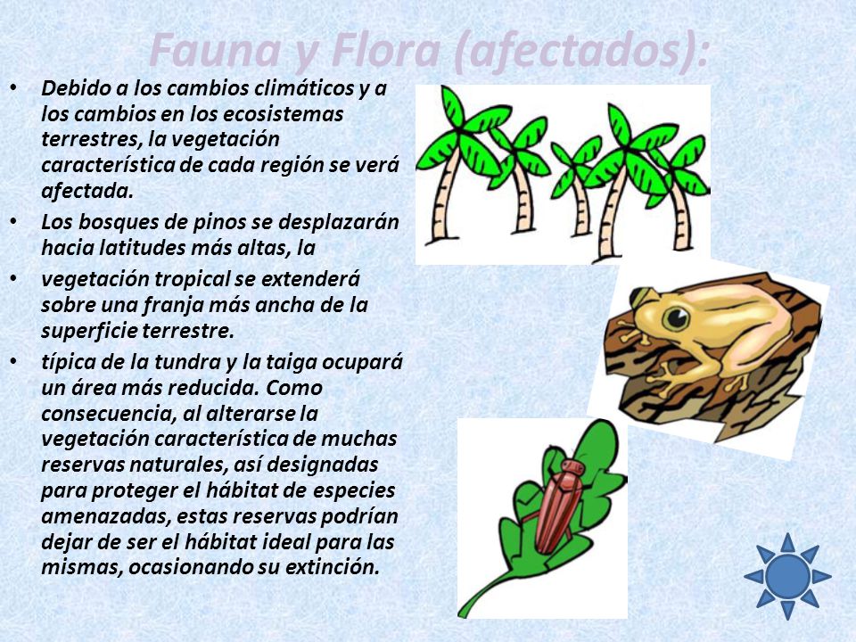 Fauna y Flora (afectados):