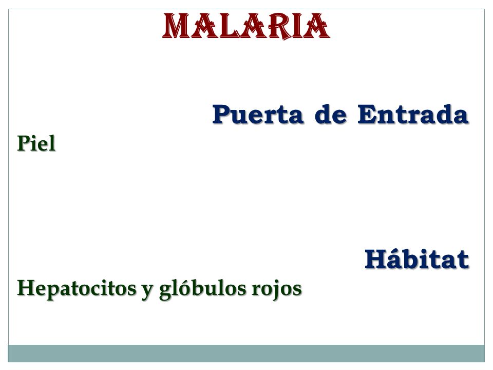 MALARIA Puerta de Entrada Piel Hábitat Hepatocitos y glóbulos rojos