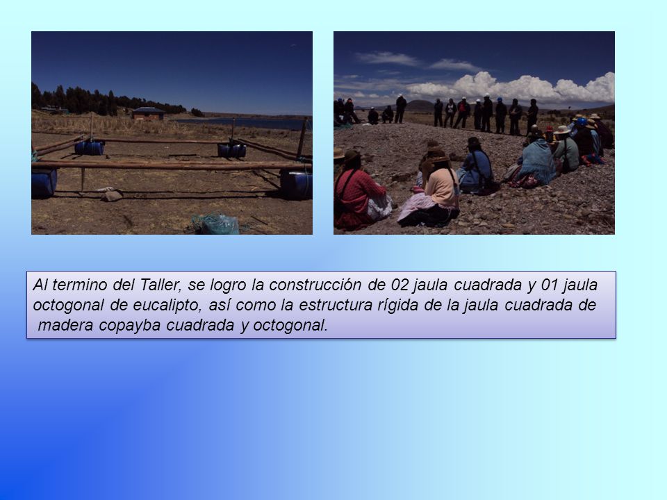 Al termino del Taller, se logro la construcción de 02 jaula cuadrada y 01 jaula