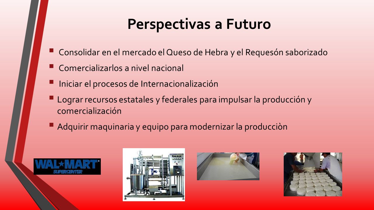 Perspectivas a Futuro Consolidar en el mercado el Queso de Hebra y el Requesón saborizado. Comercializarlos a nivel nacional.