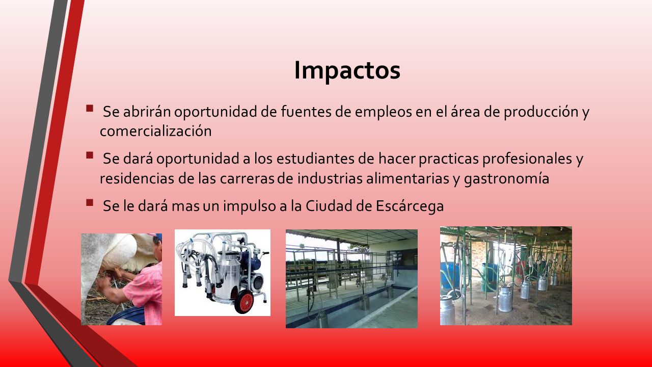 Impactos Se abrirán oportunidad de fuentes de empleos en el área de producción y comercialización.